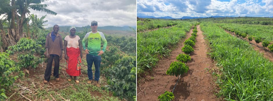 Agência Minas Gerais | Epamig participa de missão técnica para a atividade cafeeira em Moçambique