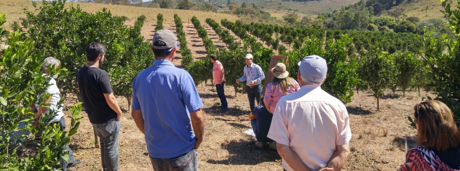 Agência Minas Gerais | Circuito Frutificaminas encerra o ano com 1,5 mil participantes nos eventos da Emater