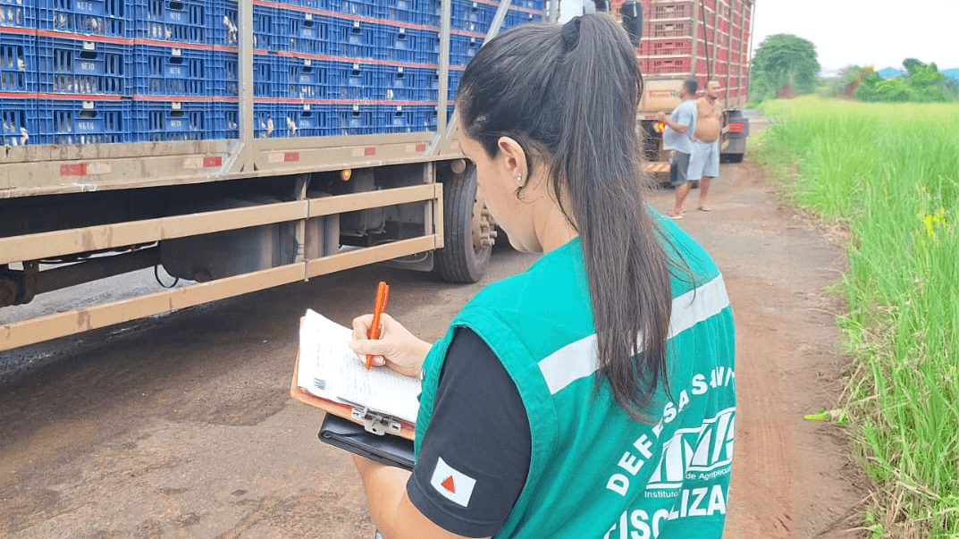 Agência Minas Gerais | Governo de Minas abre consulta pública sobre o trânsito de animais no estado