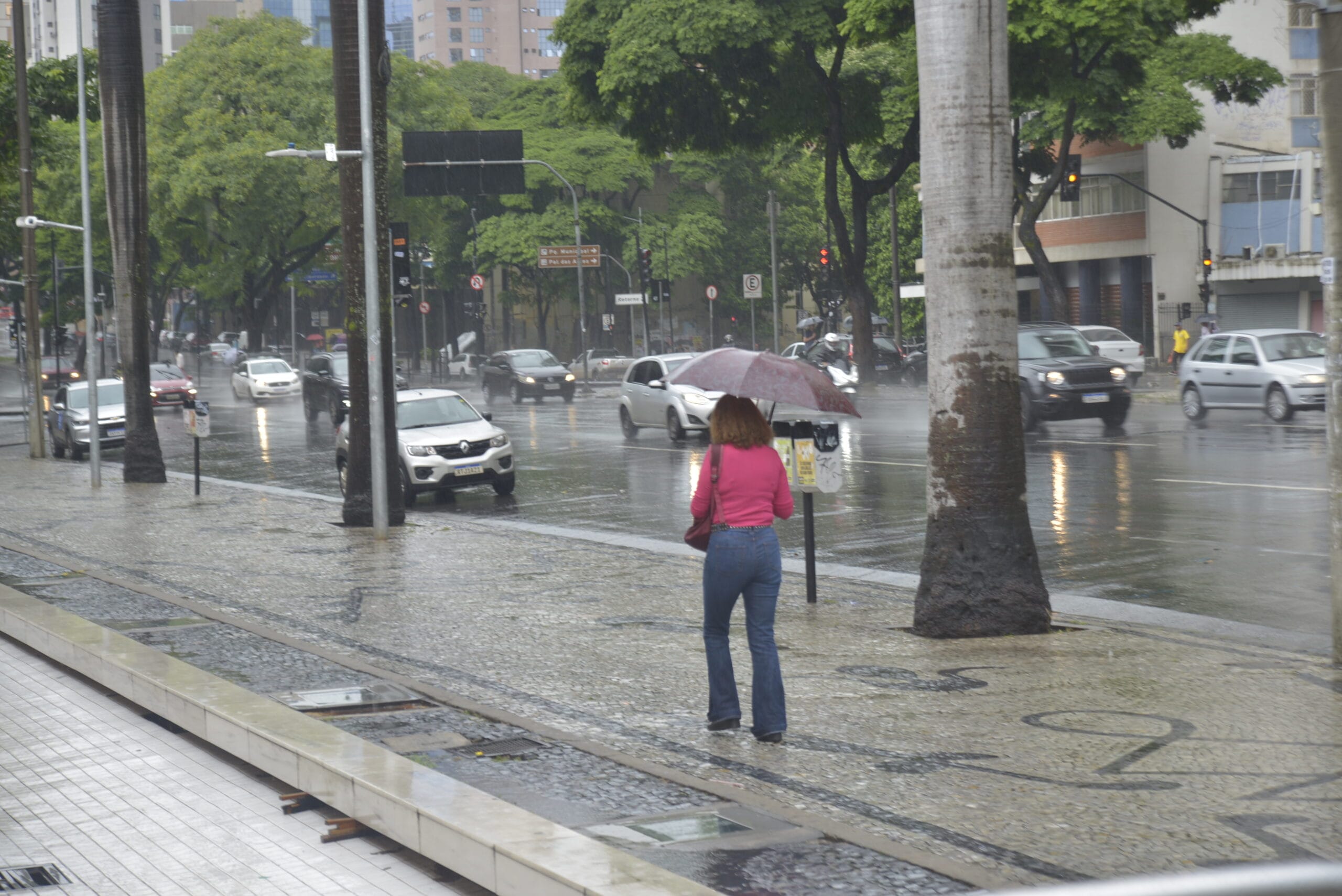 Agência Minas Gerais | Governo de Minas alerta para semana de instabilidade e volumes elevados de chuva em todo o estado até 24/1