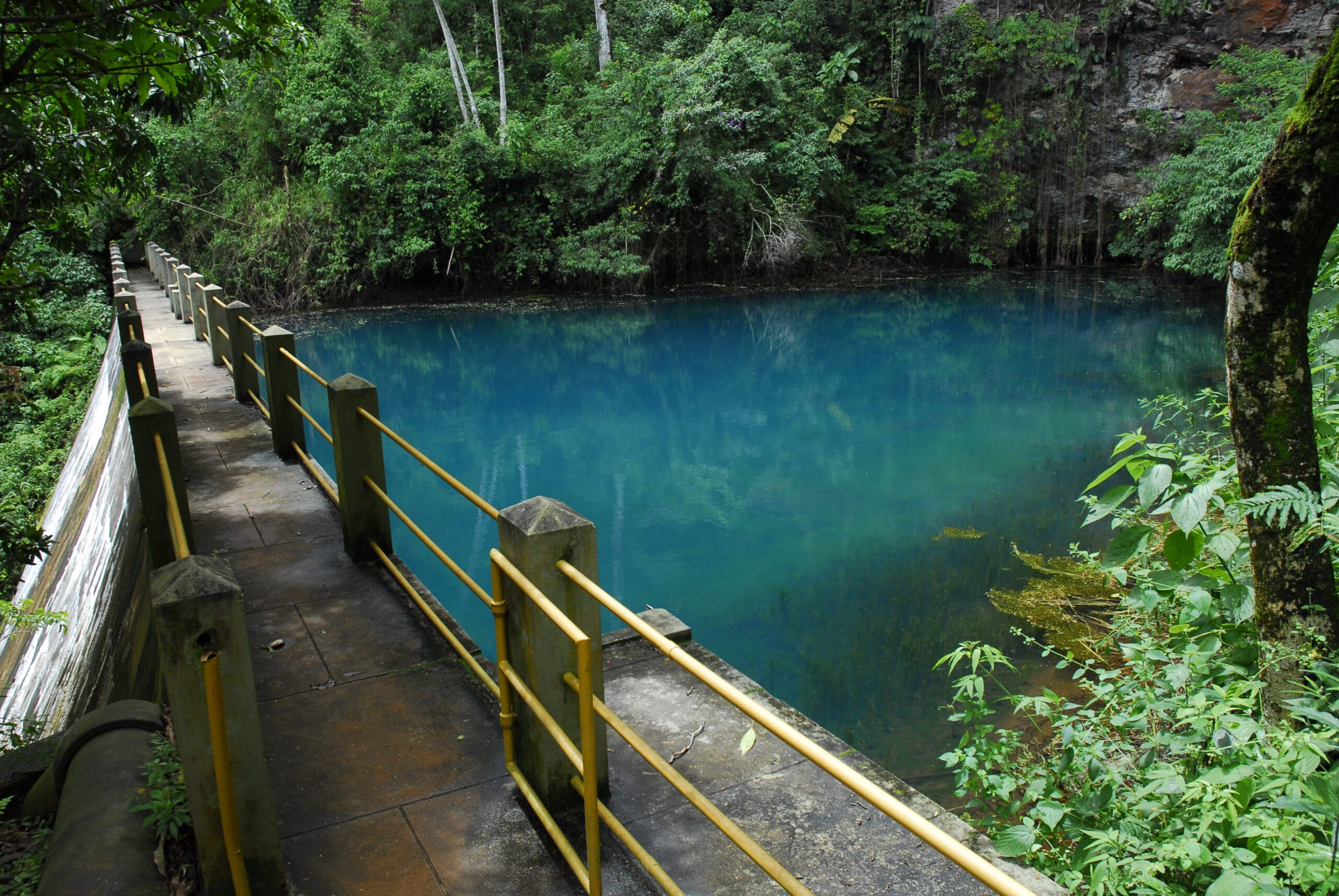 Agência Minas Gerais | Parque Estadual da Serra do Rola-Moça se consolida como destino de férias de verão na Grande BH