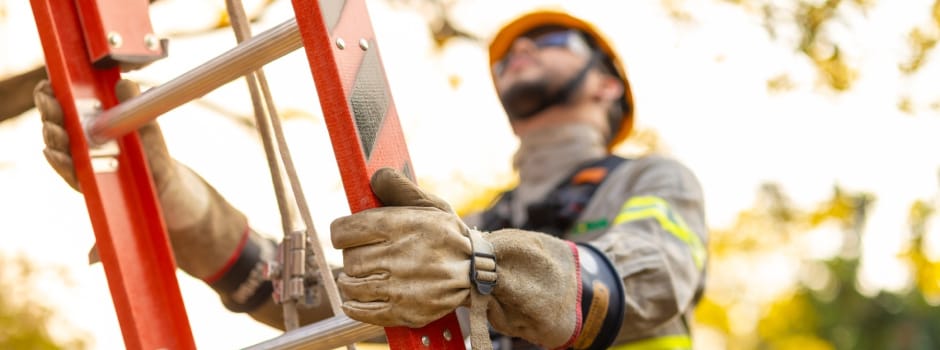 Agência Minas Gerais | Cemig intensifica vistorias na rede elétrica para garantir segurança durante o Carnaval em Minas