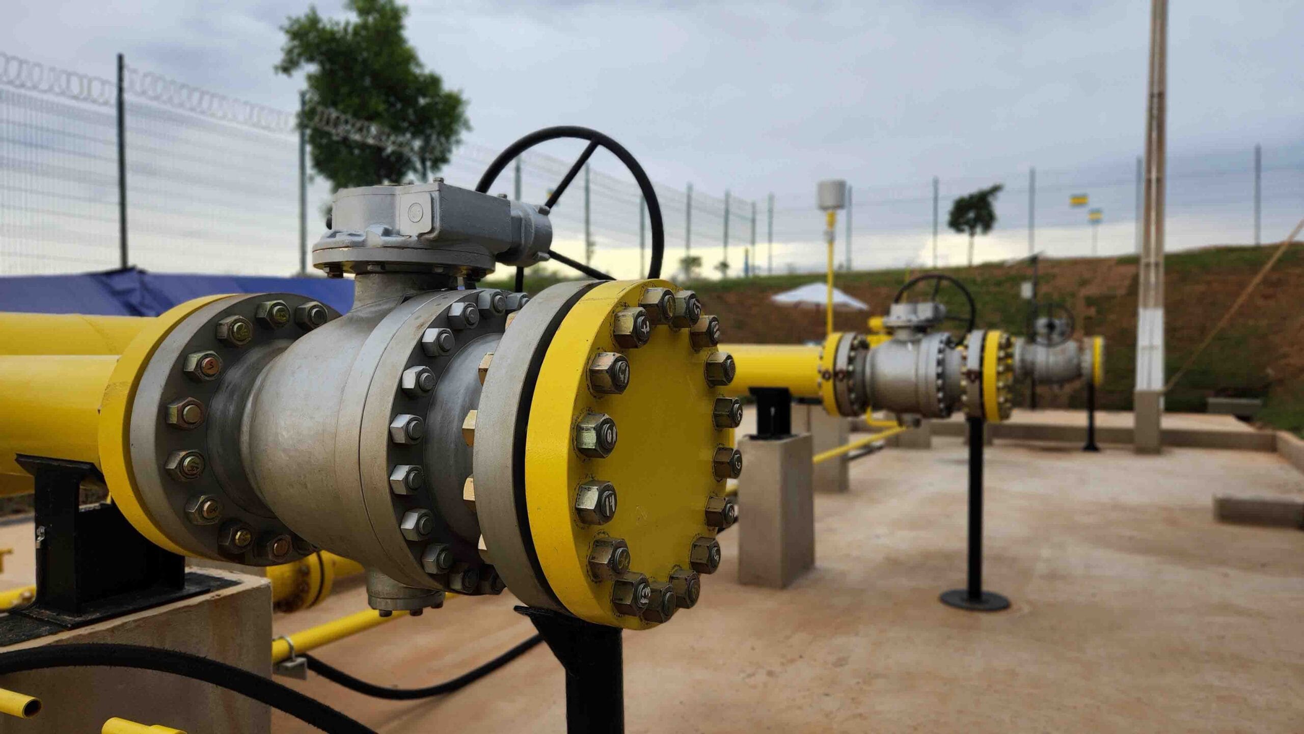 Agência Minas Gerais | Gasmig encerra 2025 com lucro líquido de R$ 515 milhões e investimentos de R$ 314 milhões