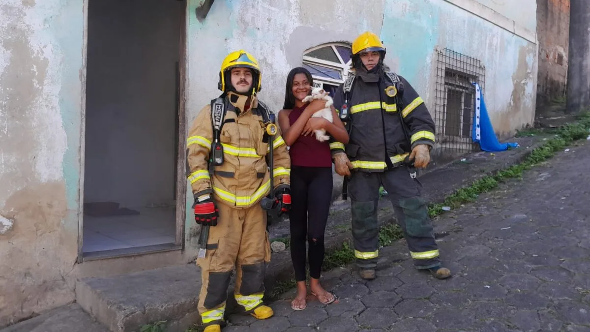 Gato é resgatado por bombeiros após ocorrência com fumaça em residência de Itabira