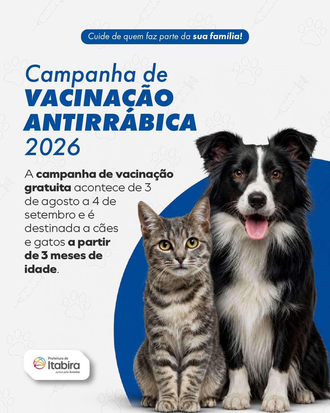 Prefeitura de Itabira inicia vacinação antirrábica com previsão de imunizar mais de 10 mil animais