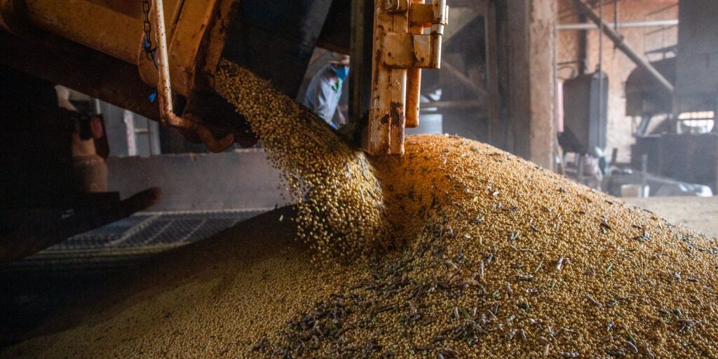 Produção brasileira de grãos deve aumentar apesar do El Niño Produção brasileira de grãos deve aumentar apesar do El Niño